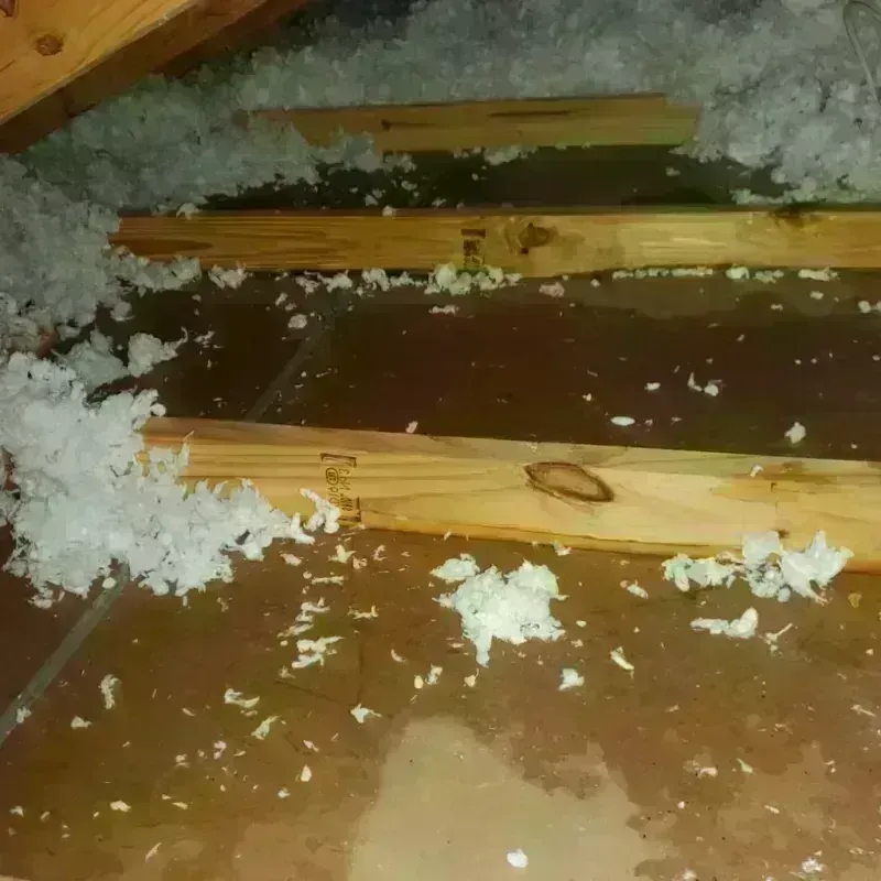 Attic Water Damage in Corcoran, MN